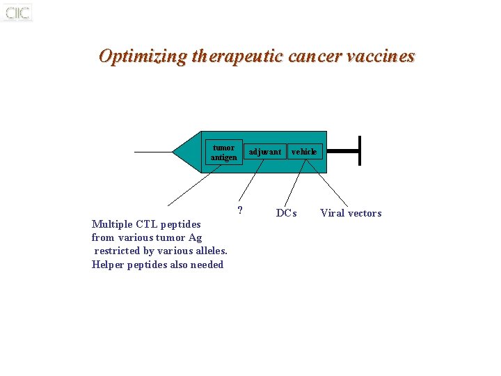 Optimizing therapeutic cancer vaccines tumor antigen ? Multiple CTL peptides from various tumor Ag Optimizing therapeutic cancer vaccines tumor antigen ? Multiple CTL peptides from various tumor Ag