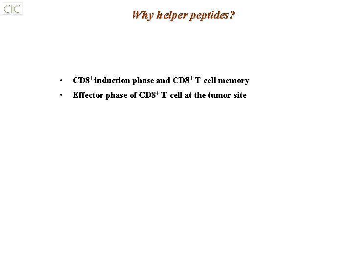 Why helper peptides? • CD 8+ induction phase and CD 8+ T cell memory