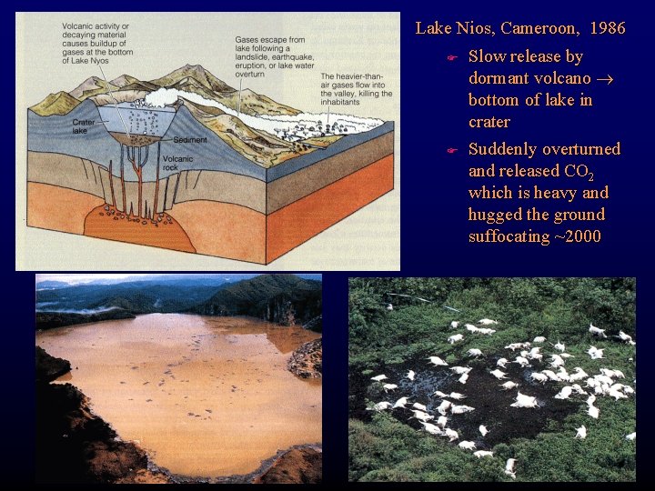 Lake Nios, Cameroon, 1986 F F Slow release by dormant volcano bottom of lake