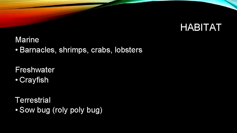 HABITAT Marine • Barnacles, shrimps, crabs, lobsters Freshwater • Crayfish Terrestrial • Sow bug