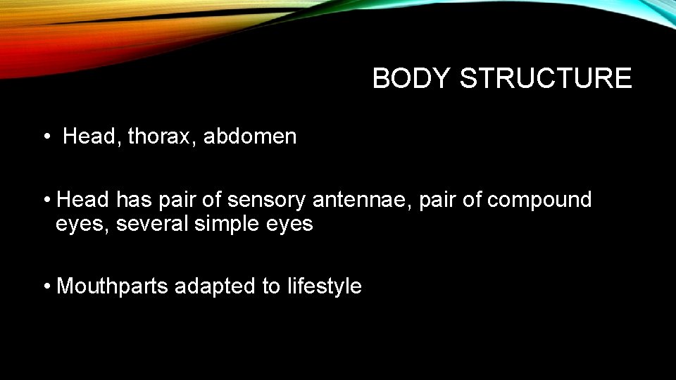 BODY STRUCTURE • Head, thorax, abdomen • Head has pair of sensory antennae, pair