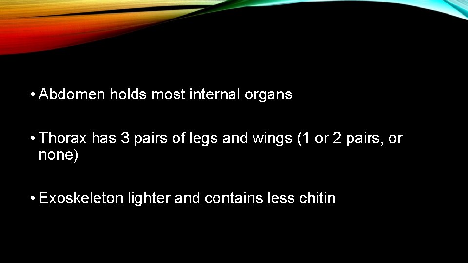  • Abdomen holds most internal organs • Thorax has 3 pairs of legs