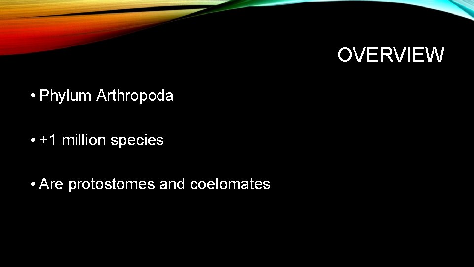OVERVIEW • Phylum Arthropoda • +1 million species • Are protostomes and coelomates 
