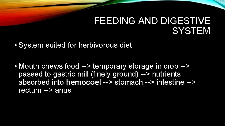 FEEDING AND DIGESTIVE SYSTEM • System suited for herbivorous diet • Mouth chews food