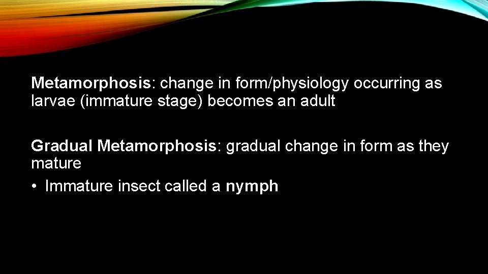Metamorphosis: change in form/physiology occurring as larvae (immature stage) becomes an adult Gradual Metamorphosis: