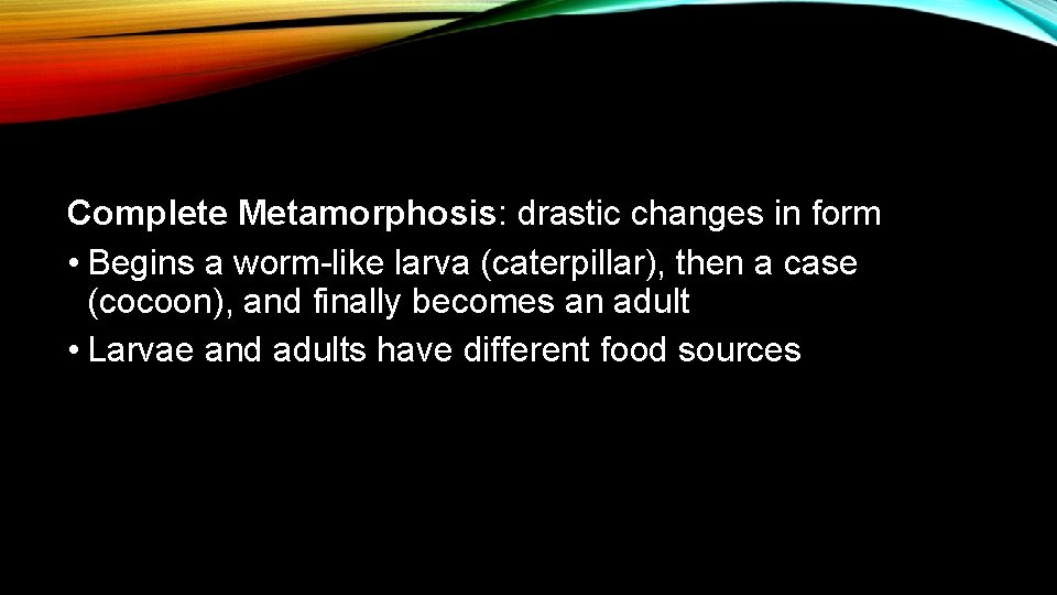 Complete Metamorphosis: drastic changes in form • Begins a worm-like larva (caterpillar), then a