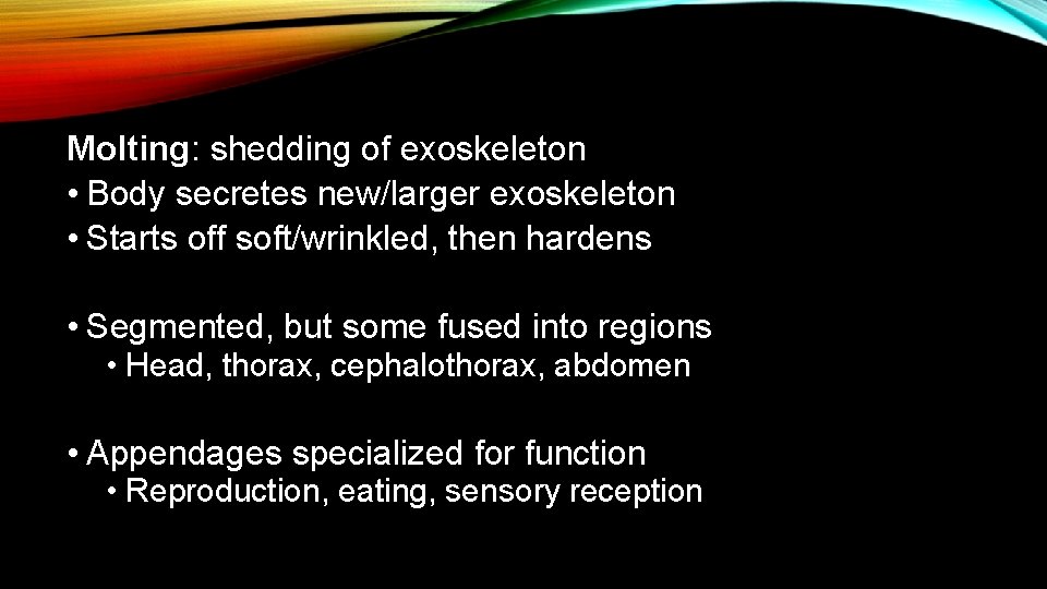 Molting: shedding of exoskeleton • Body secretes new/larger exoskeleton • Starts off soft/wrinkled, then