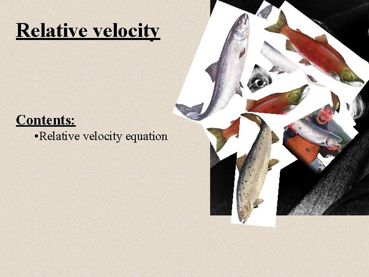 Relative velocity Contents: • Relative velocity equation 