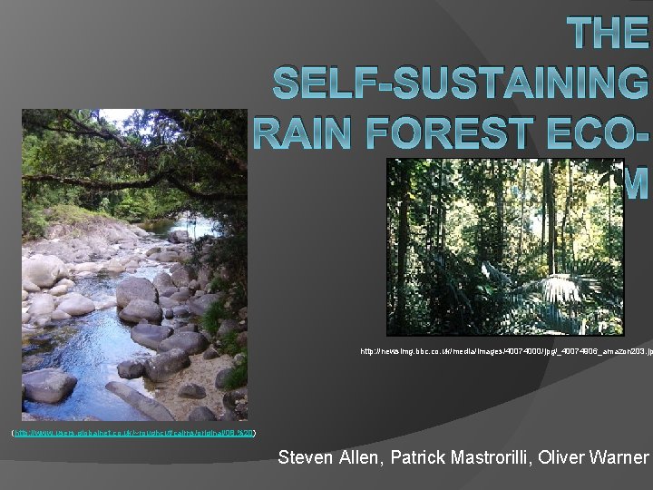 THE SELF-SUSTAINING RAIN FOREST ECOSYSTEM http: //newsimg. bbc. co. uk/media/images/40074000/jpg/_40074906_amazon 203. jp (http: //www.