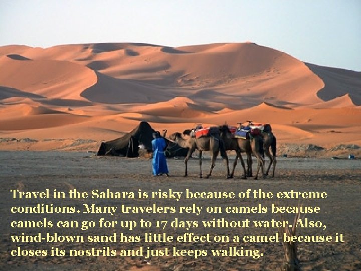 Travel in the Sahara is risky because of the extreme conditions. Many travelers rely