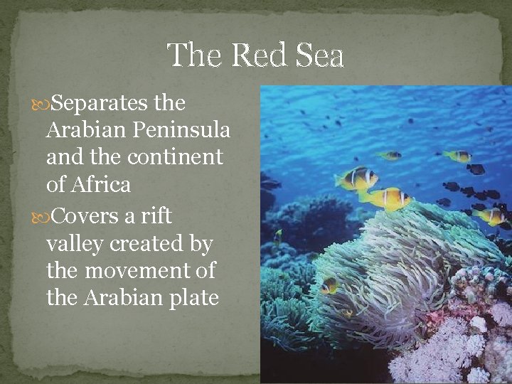 The Red Sea Separates the Arabian Peninsula and the continent of Africa Covers a