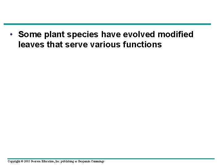  • Some plant species have evolved modified leaves that serve various functions Copyright