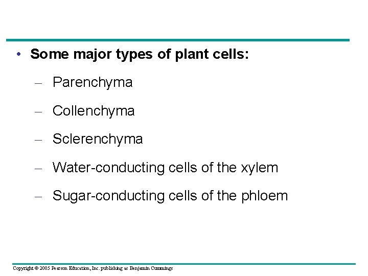  • Some major types of plant cells: – Parenchyma – Collenchyma – Sclerenchyma