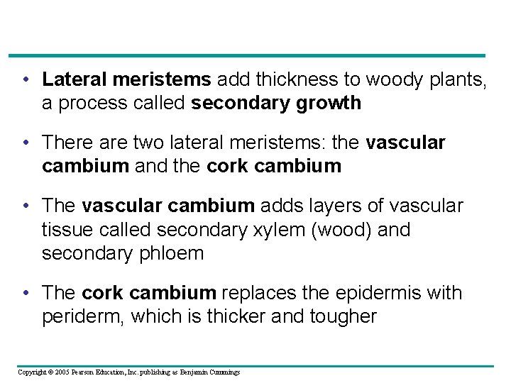  • Lateral meristems add thickness to woody plants, a process called secondary growth