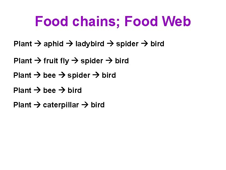 Food chains; Food Web Plant aphid ladybird spider bird Plant fruit fly spider bird