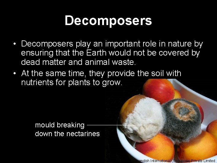 Decomposers • Decomposers play an important role in nature by ensuring that the Earth