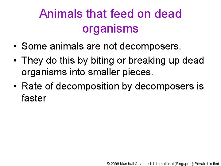 Animals that feed on dead organisms • Some animals are not decomposers. • They