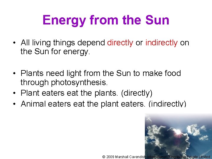 Energy from the Sun • All living things depend directly or indirectly on the