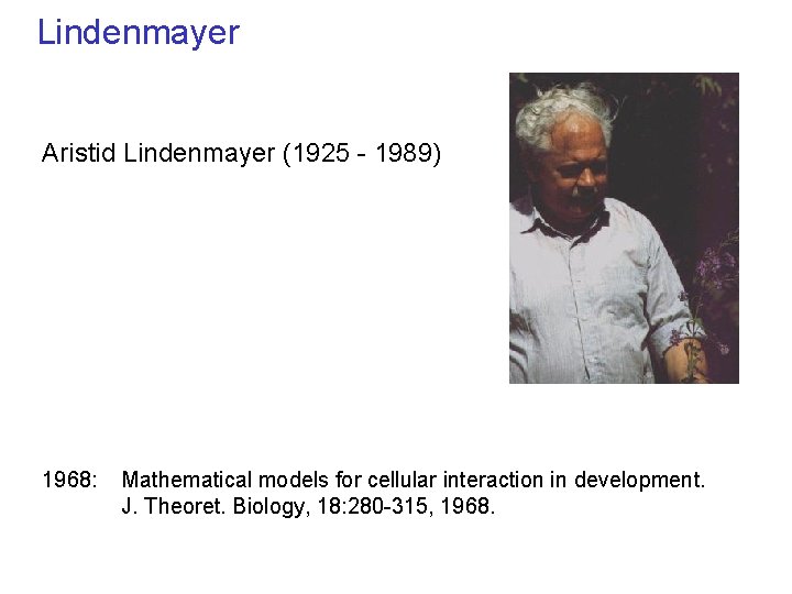 Lindenmayer Aristid Lindenmayer (1925 - 1989) 1968: Mathematical models for cellular interaction in development.