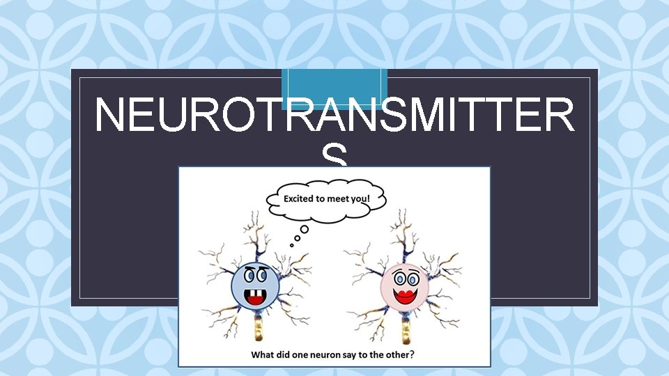 NEUROTRANSMITTER S C 