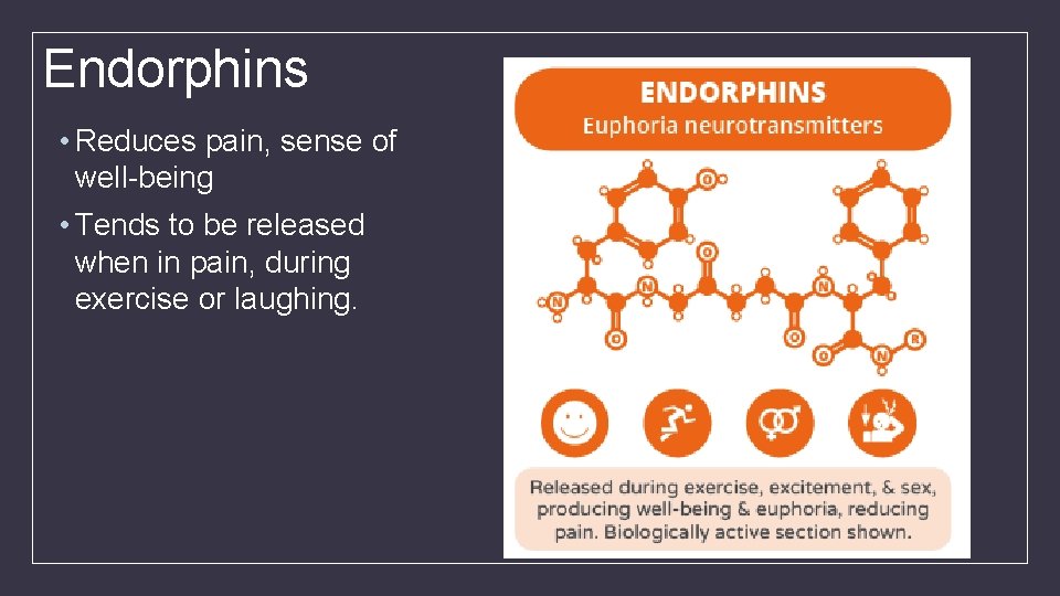 Endorphins • Reduces pain, sense of well-being • Tends to be released when in