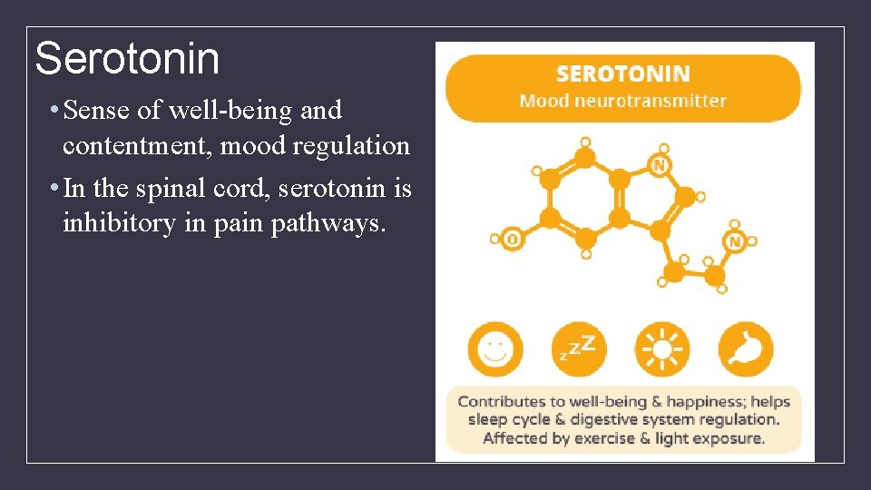 Serotonin • Sense of well-being and contentment, mood regulation • In the spinal cord,