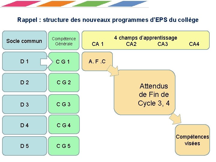 Rappel : structure des nouveaux programmes d’EPS du collège Socle commun Compétence Générale CA