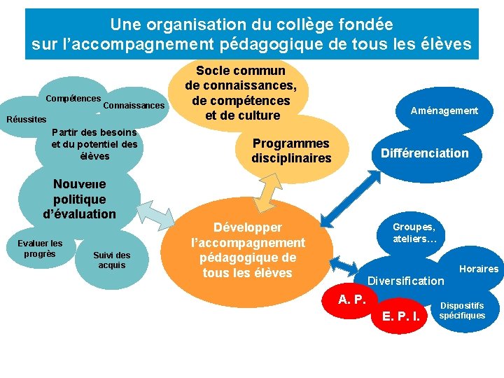 Une organisation du collège fondée sur l’accompagnement pédagogique de tous les élèves Compétences Connaissances