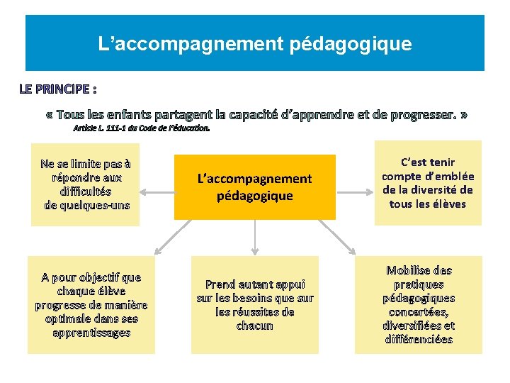 L’accompagnement pédagogique LE PRINCIPE : « Tous les enfants partagent la capacité d’apprendre et