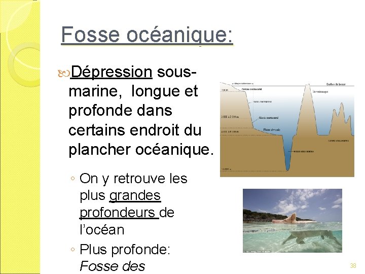 Fosse océanique: Dépression sousmarine, longue et profonde dans certains endroit du plancher océanique. ◦