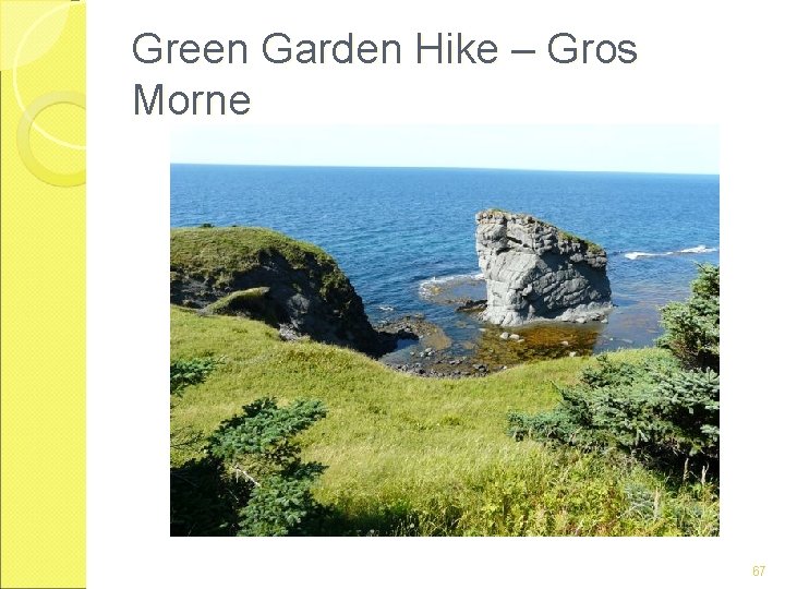 Green Garden Hike – Gros Morne 67 