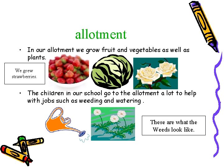 allotment • In our allotment we grow fruit and vegetables as well as plants.