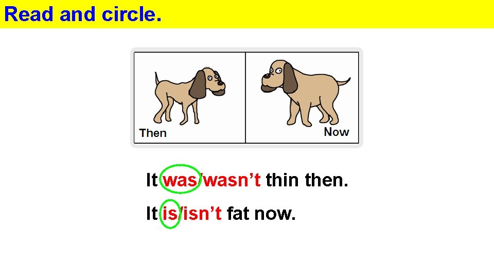 Read and circle. It was/wasn’t thin then. It is/isn’t fat now. 