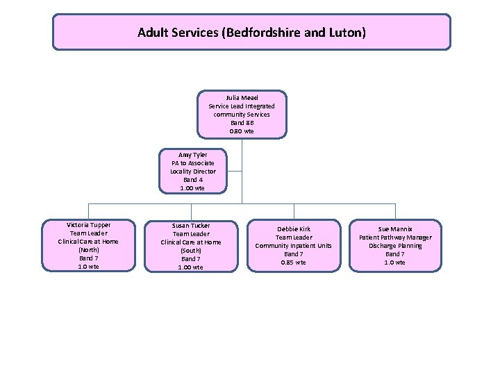 Adult Services (Bedfordshire and Luton) Julia Mead Service Lead Integrated community Services Band 8
