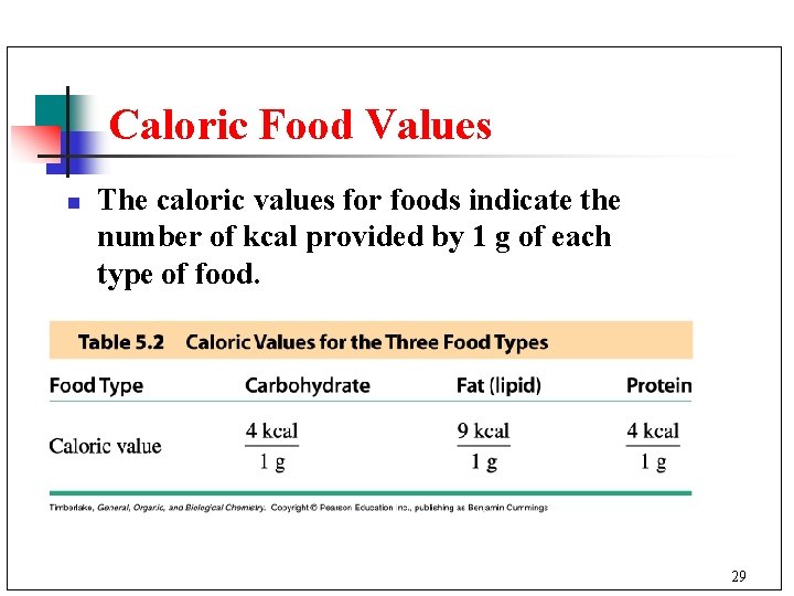 Caloric Food Values n The caloric values for foods indicate the number of kcal