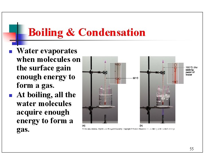 Boiling & Condensation n n Water evaporates when molecules on the surface gain enough