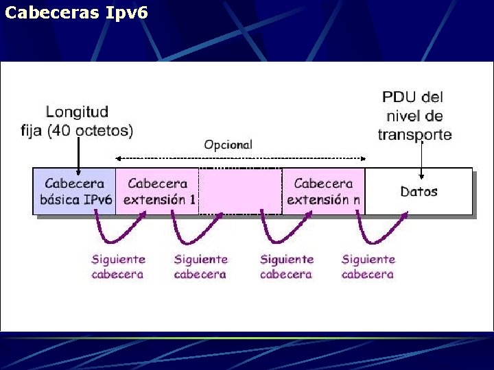 Cabeceras Ipv 6 