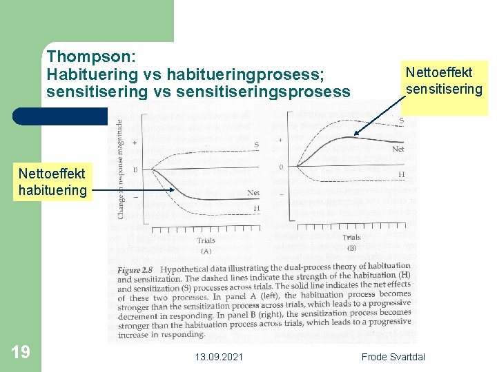 Thompson: Habituering vs habitueringprosess; sensitisering vs sensitiseringsprosess Nettoeffekt sensitisering Nettoeffekt habituering 19 13. 09.