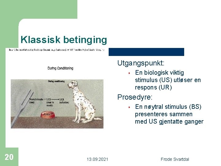 Klassisk betinging Utgangspunkt: s En biologisk viktig stimulus (US) utløser en respons (UR) Prosedyre: