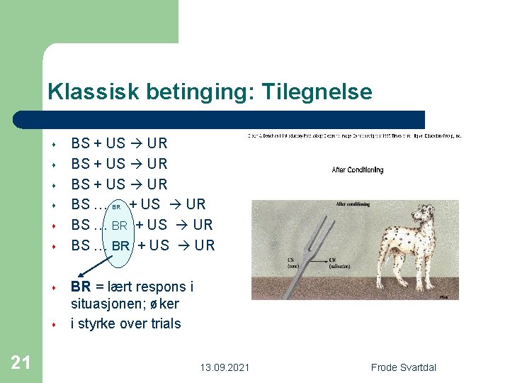 Klassisk betinging: Tilegnelse s s s s 21 BS + US UR BS …