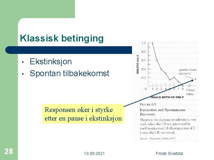 Klassisk betinging • • Ekstinksjon Spontan tilbakekomst Responsen øker i styrke etter en pause