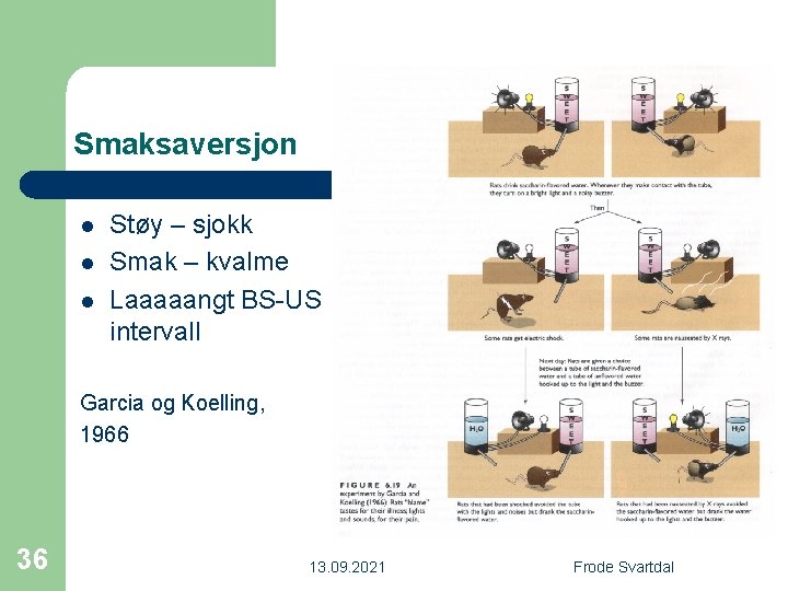 Smaksaversjon l l l Støy – sjokk Smak – kvalme Laaaaangt BS-US intervall Garcia