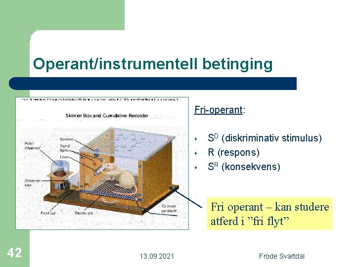 Operant/instrumentell betinging Fri-operant: s s s SD (diskriminativ stimulus) R (respons) SR (konsekvens) Fri