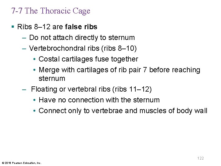 7 -7 The Thoracic Cage § Ribs 8– 12 are false ribs – Do