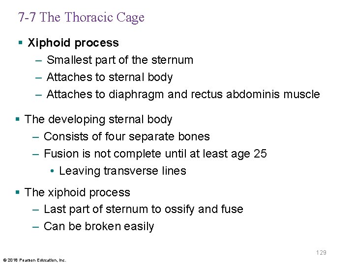 7 -7 The Thoracic Cage § Xiphoid process – Smallest part of the sternum