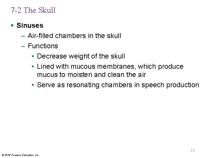 7 -2 The Skull § Sinuses – Air-filled chambers in the skull – Functions
