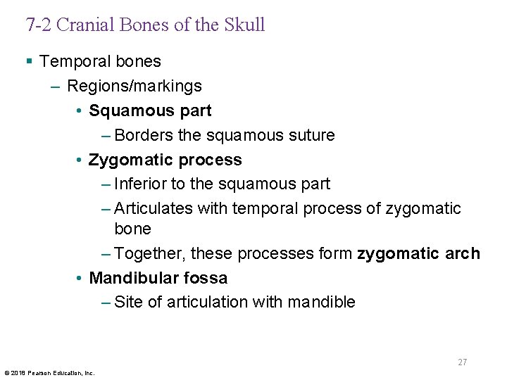 7 -2 Cranial Bones of the Skull § Temporal bones – Regions/markings • Squamous