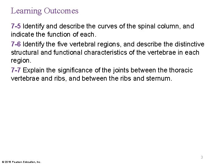 Learning Outcomes 7 -5 Identify and describe the curves of the spinal column, and