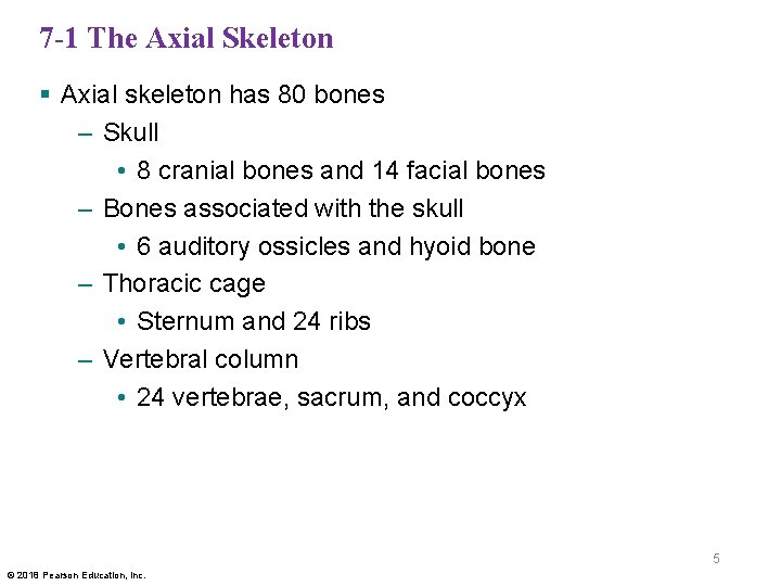 7 -1 The Axial Skeleton § Axial skeleton has 80 bones – Skull •