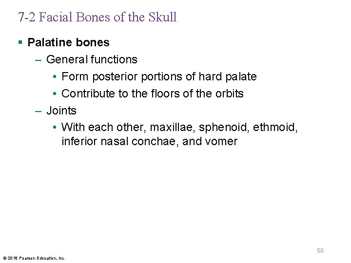 7 -2 Facial Bones of the Skull § Palatine bones – General functions •
